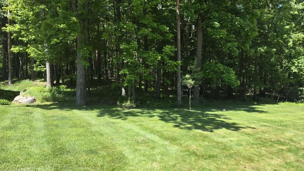 710 Glen Oak Drive Manchester, MI 48158