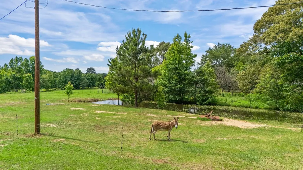 1122 County Road 3750 Hawkins, TX 75765