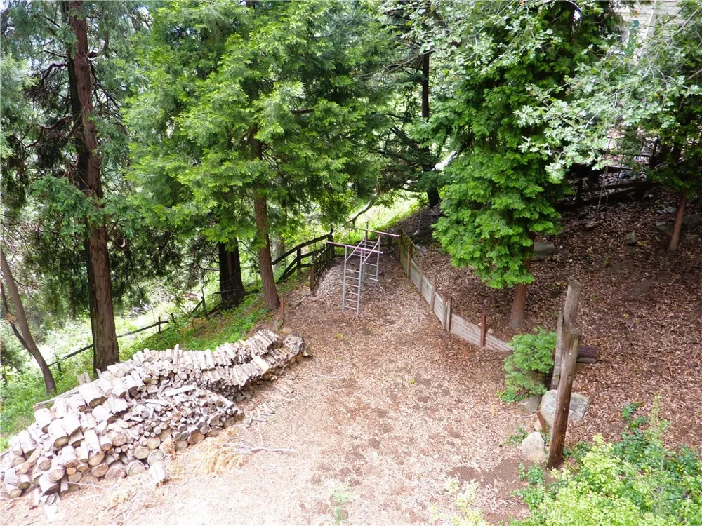 21531 Sawpit Canyon Road Cedarpines Park, CA 92322