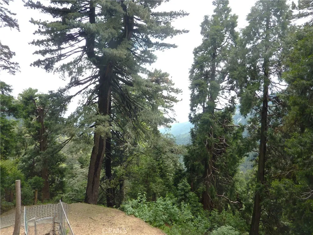 21531 Sawpit Canyon Road Cedarpines Park, CA 92322