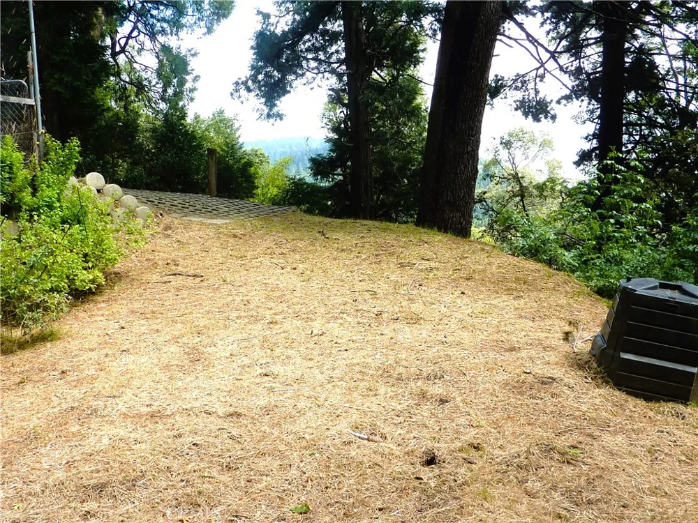 21531 Sawpit Canyon Road Cedarpines Park, CA 92322