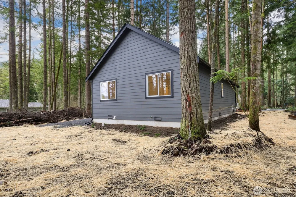 56114 343rd Avenue Ct E Ashford, WA 98304