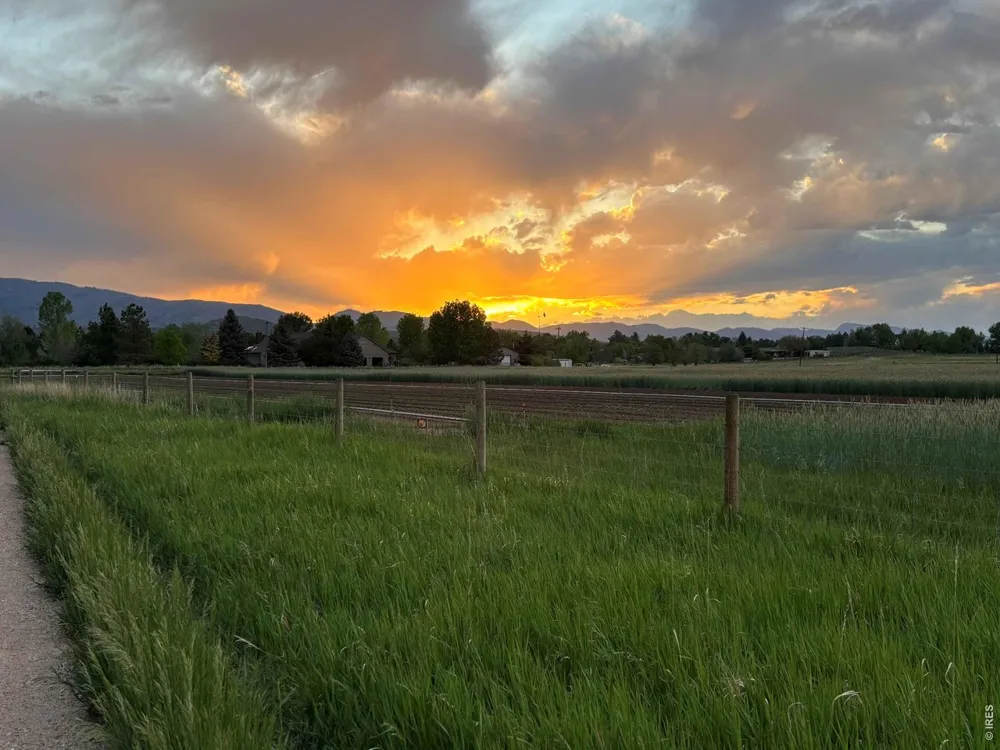 685 Moon Drop Place Fort Collins, CO 80521
