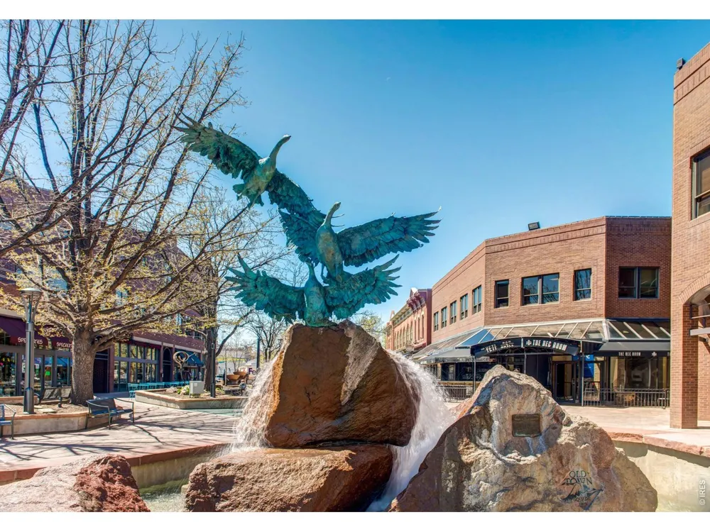 685 Moon Drop Place Fort Collins, CO 80521
