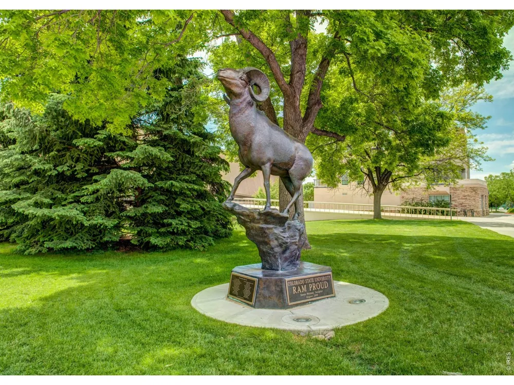 685 Moon Drop Place Fort Collins, CO 80521