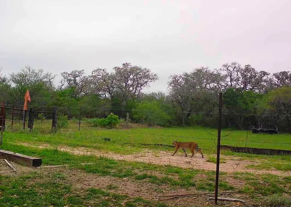 10423 State Highway 21 W Crockett, TX 75835