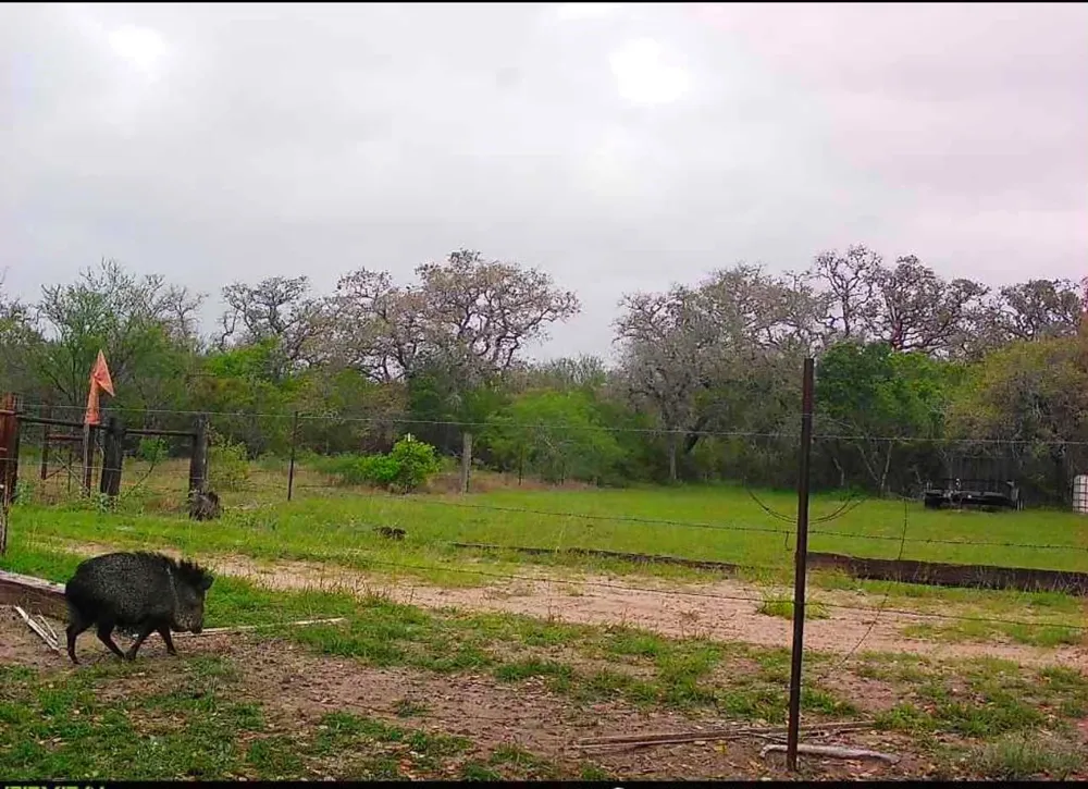 10423 State Highway 21 W Crockett, TX 75835