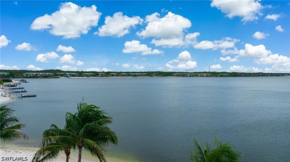 Via Savona Court Miromar Lakes, FL 33913