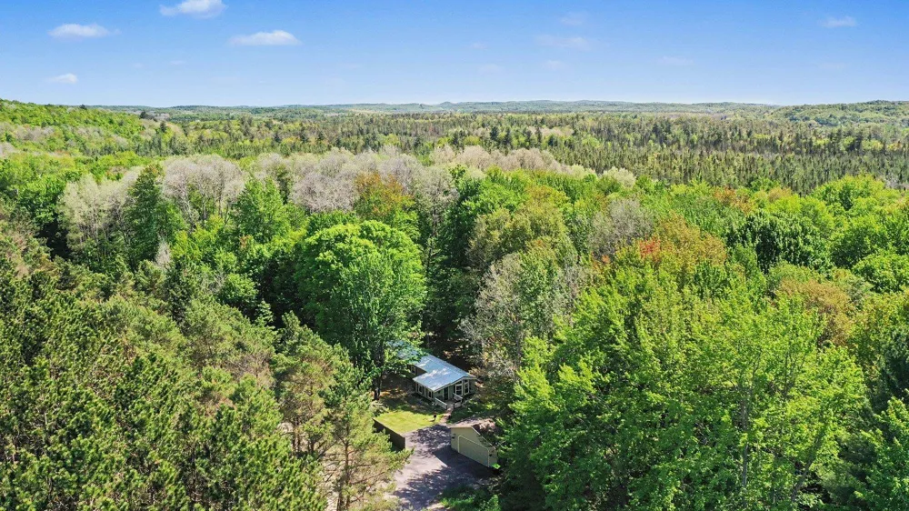 3523 Mt Bliss Road Jordan Township, MI 49727