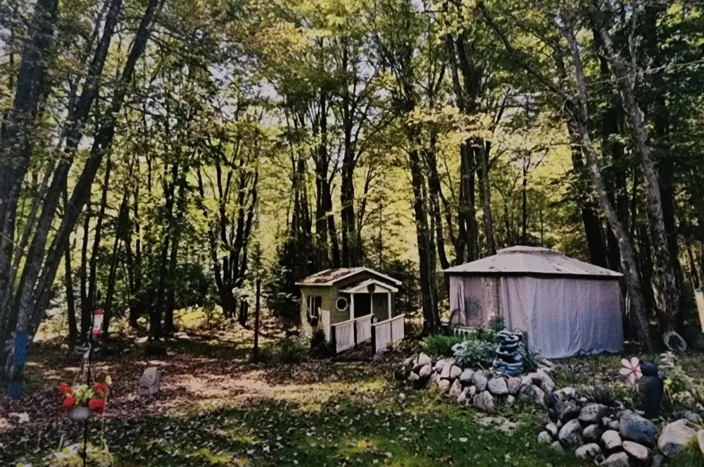 3523 Mt Bliss Road Jordan Township, MI 49727