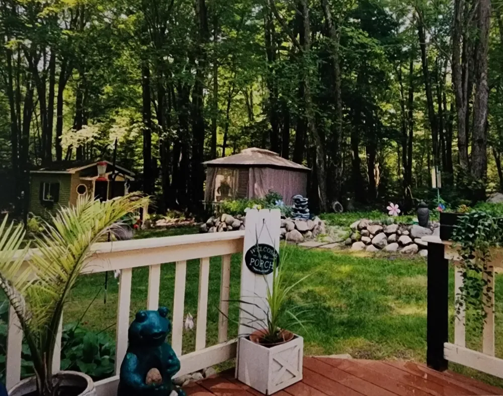 3523 Mt Bliss Road Jordan Township, MI 49727