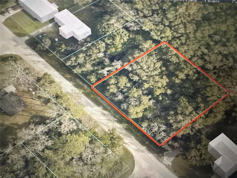 TBD SE 44TH AVENUE Summerfield, FL 34491