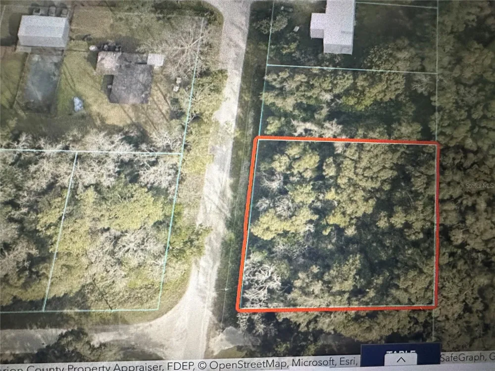 TBD SE 44TH AVENUE Summerfield, FL 34491