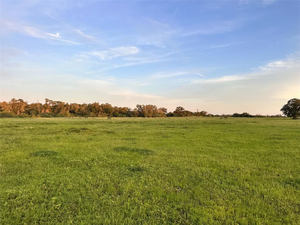 Hwy 97 Waelder, TX 78959