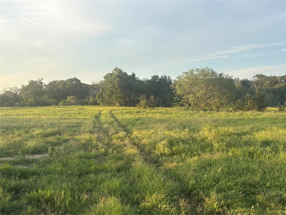 Hwy 97 Waelder, TX 78959
