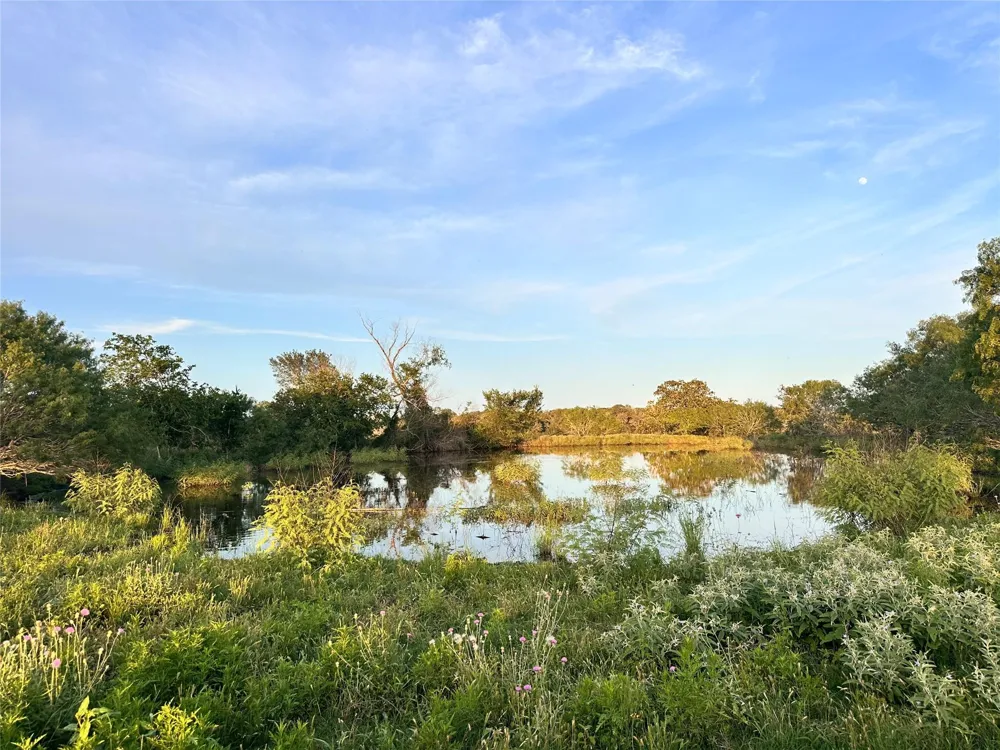 Hwy 97 Waelder, TX 78959