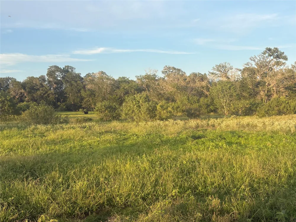 Hwy 97 Waelder, TX 78959