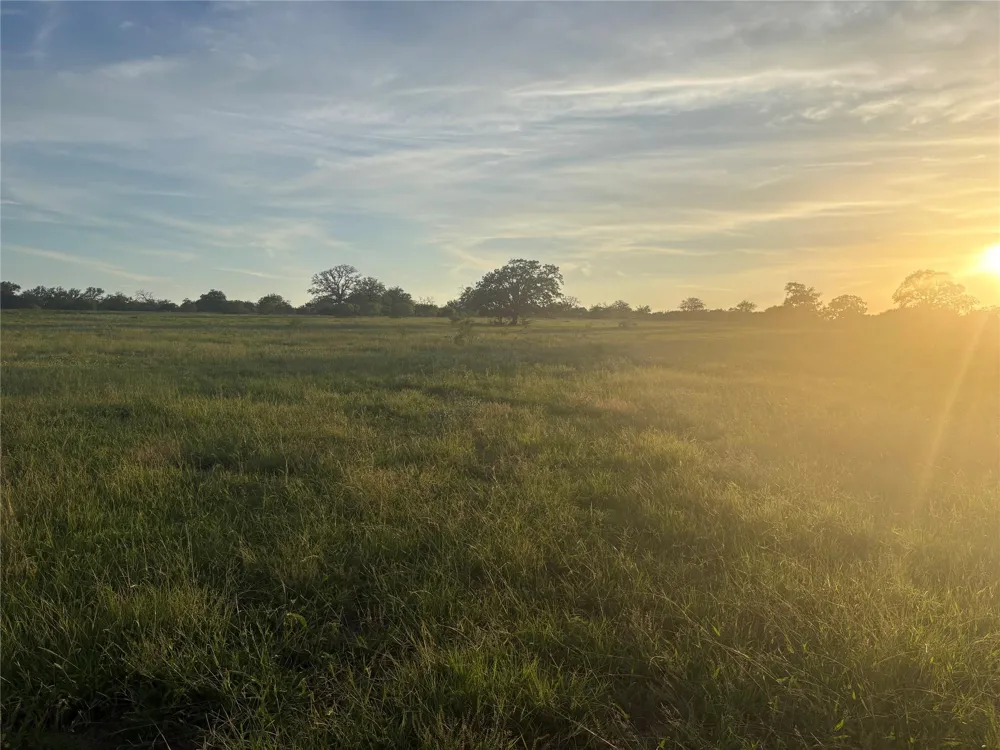Hwy 97 Waelder, TX 78959