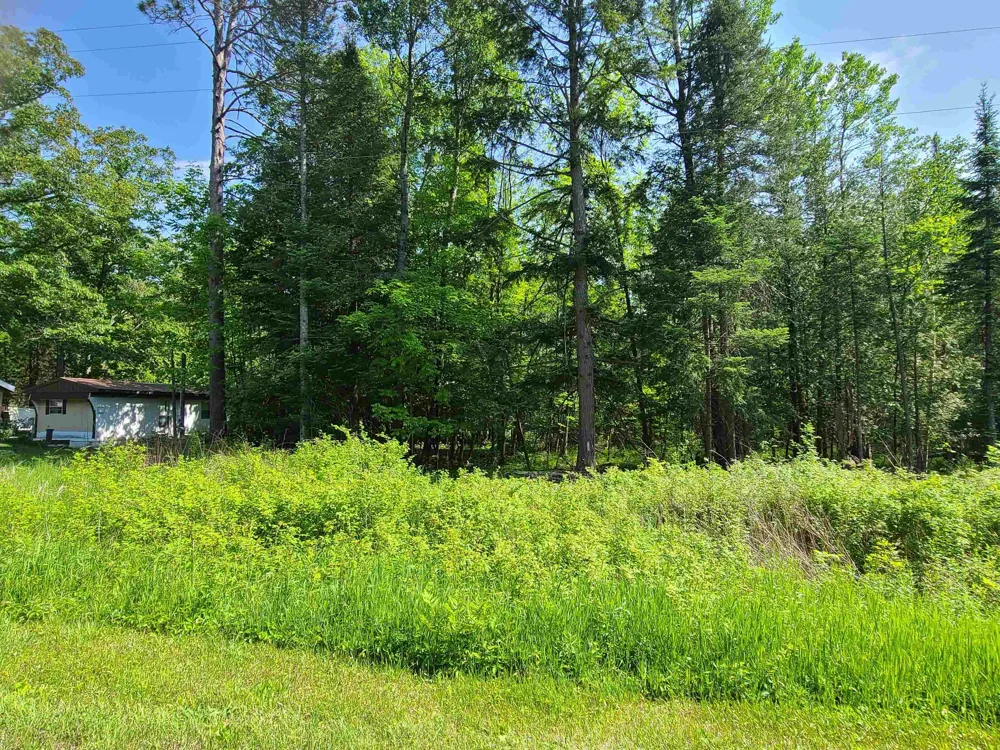 1281 W Trask Lake Road Millen Township, MI 48705