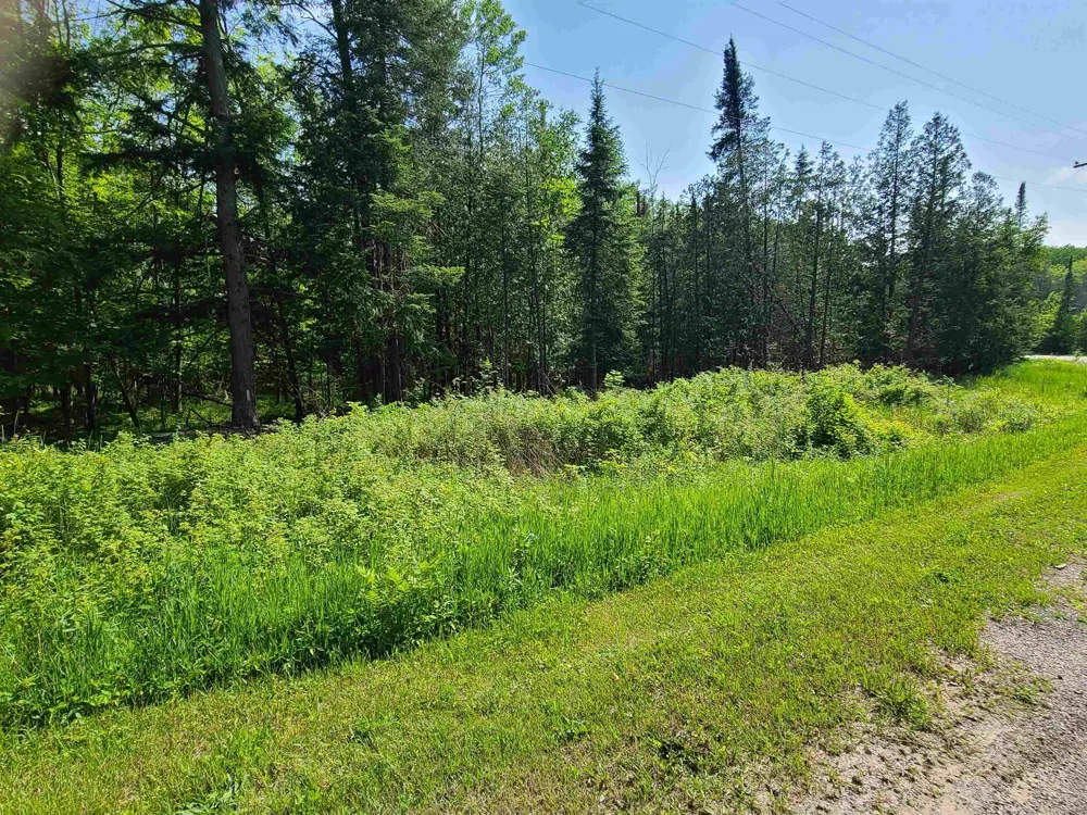 1281 W Trask Lake Road Millen Township, MI 48705