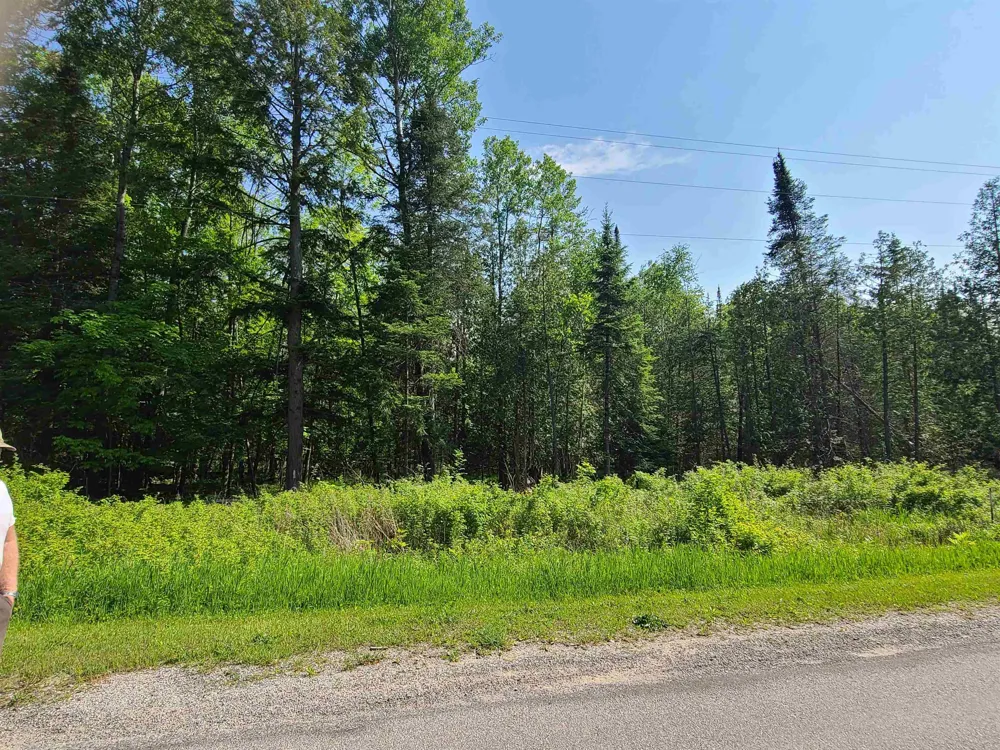 1281 W Trask Lake Road Millen Township, MI 48705