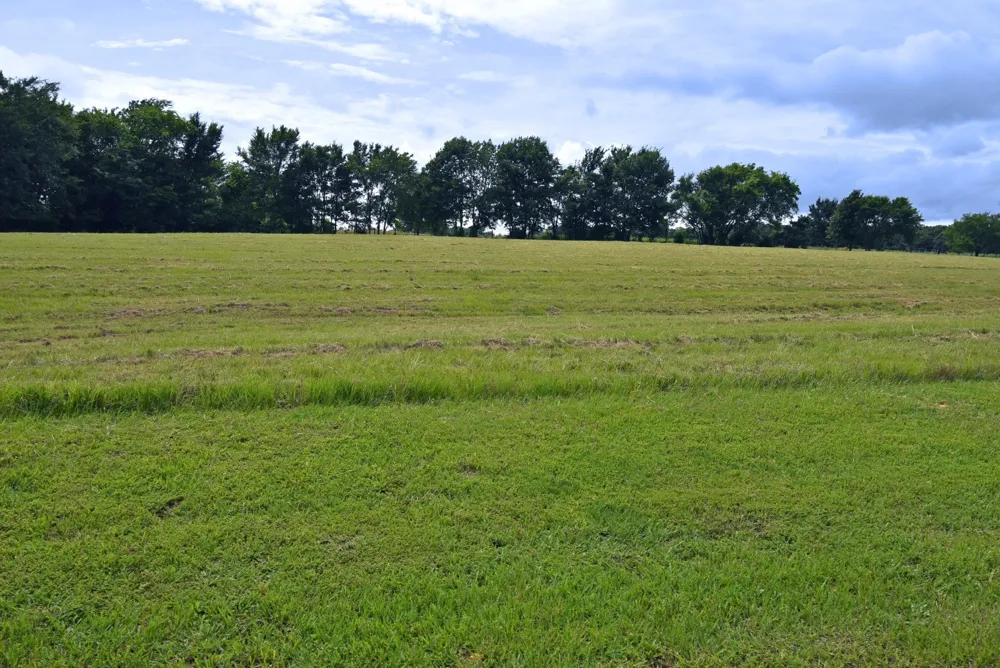 Private Road 5986 Yantis, TX 75497