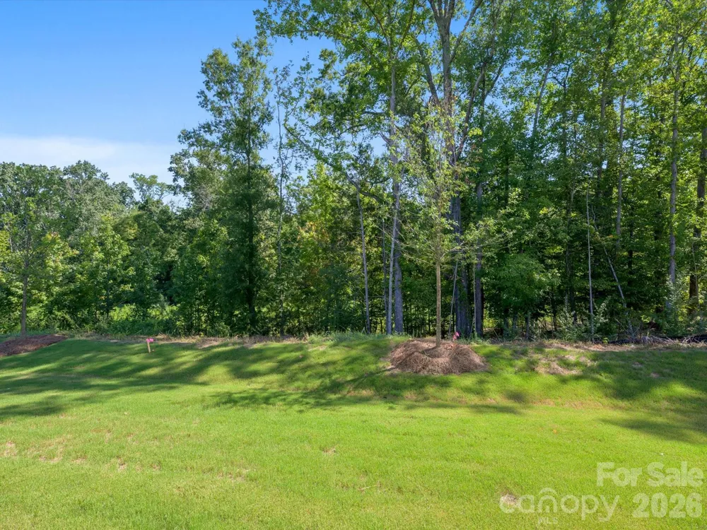 280 Alluvium Lane Waxhaw, NC 28173
