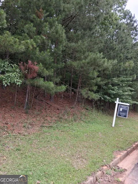 0 Bellevue Southwest DR