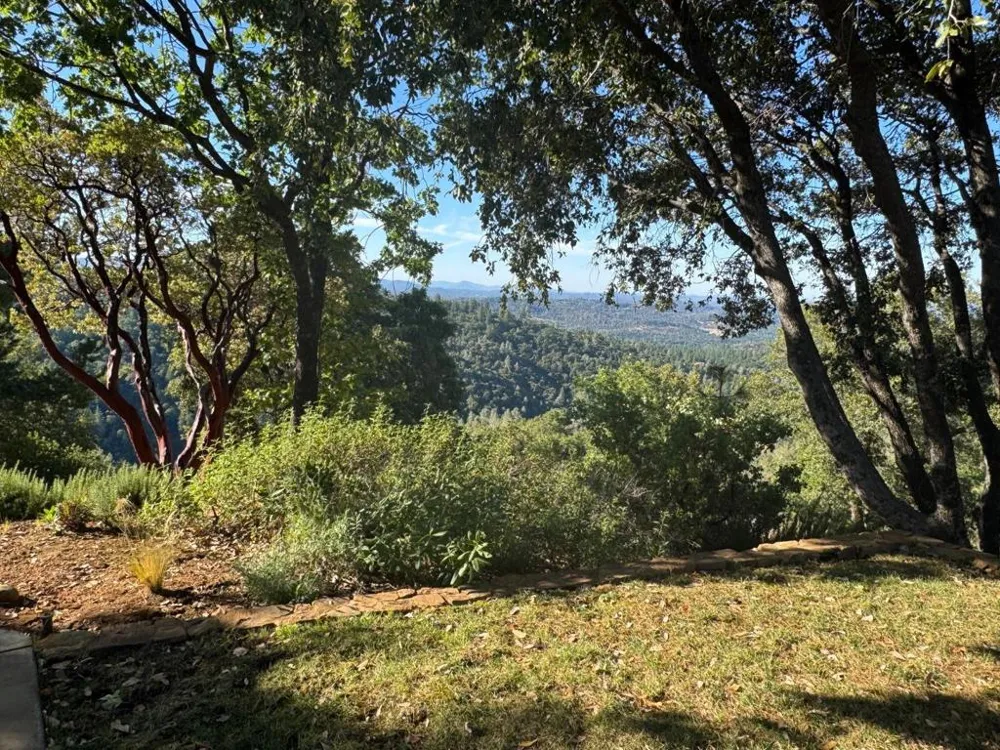 2251 Folendorf Road Murphys, CA 95247