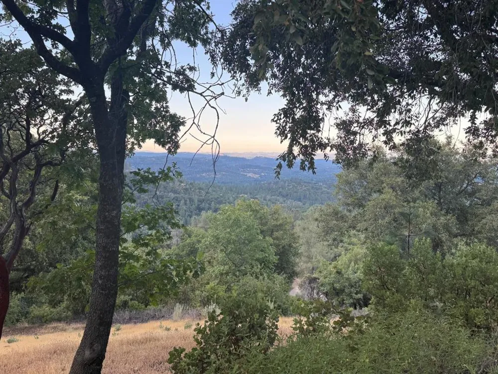 2251 Folendorf Road Murphys, CA 95247