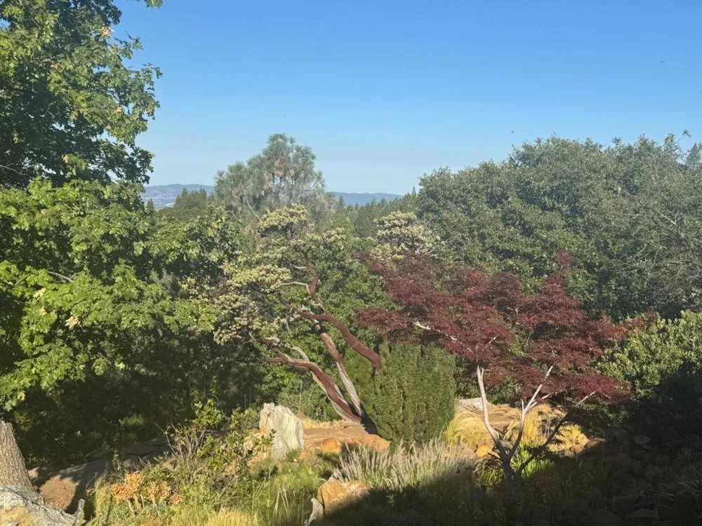 2251 Folendorf Road Murphys, CA 95247