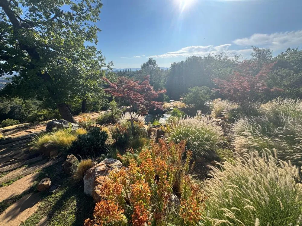 2251 Folendorf Road Murphys, CA 95247