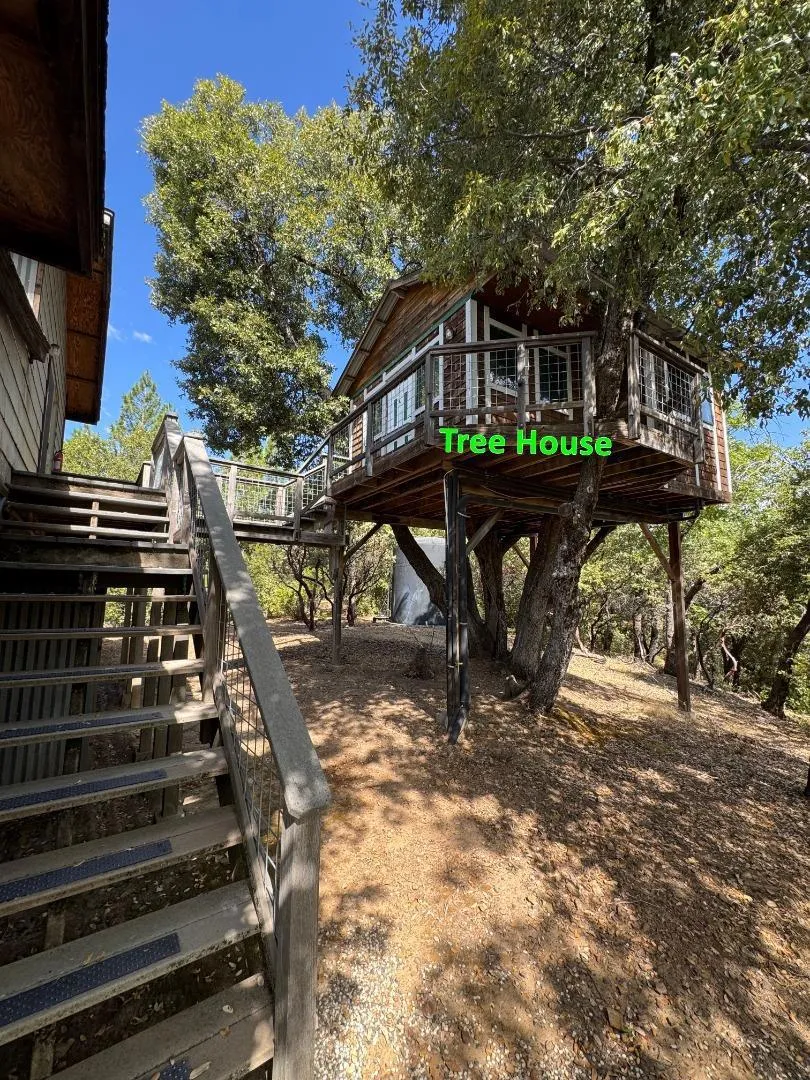 2251 Folendorf Road Murphys, CA 95247