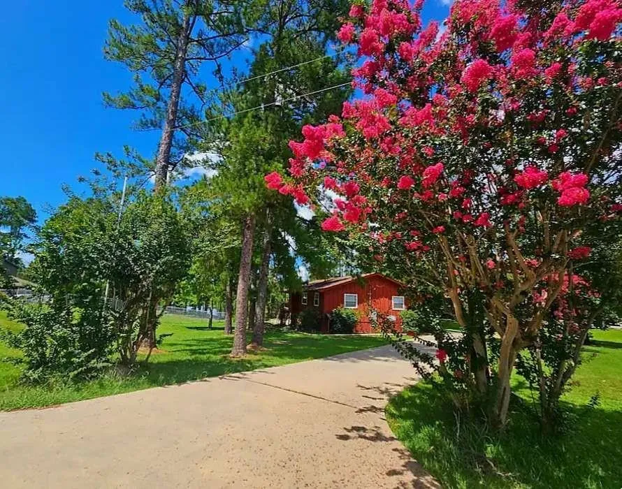 156 Cove Lane Brookeland, TX 75931