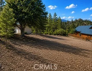 2029 Zermatt Drive