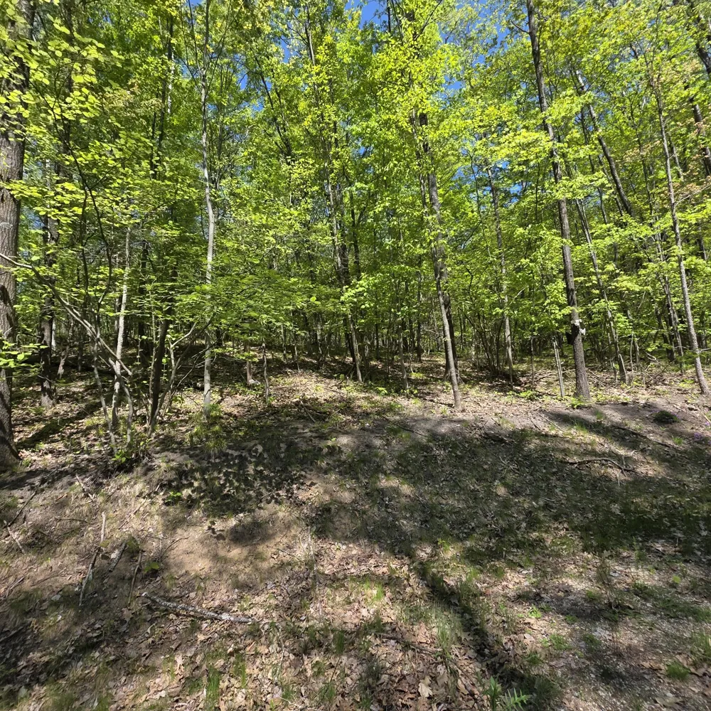 4796 90th Avenue Evart, MI 49631