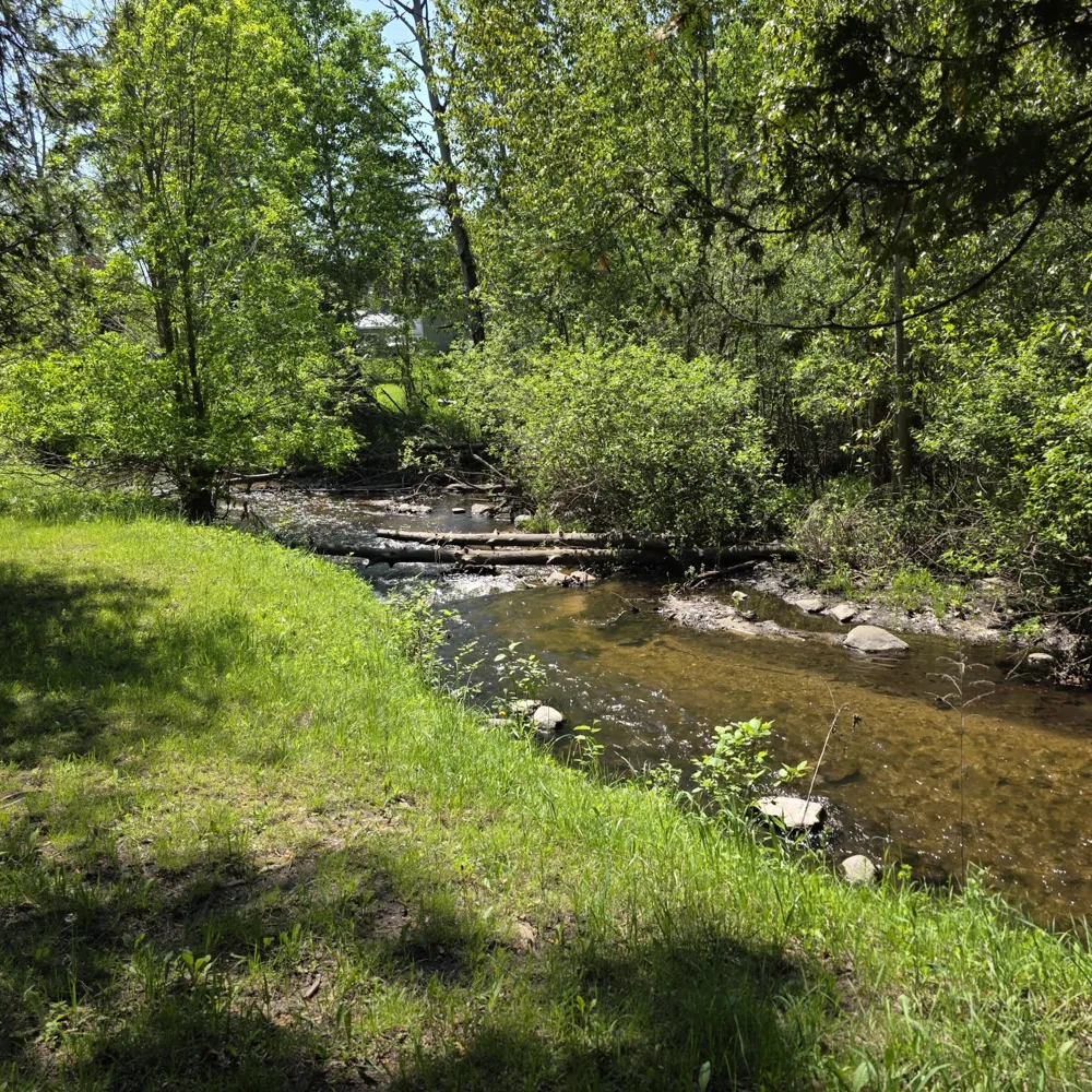4796 90th Avenue Evart, MI 49631