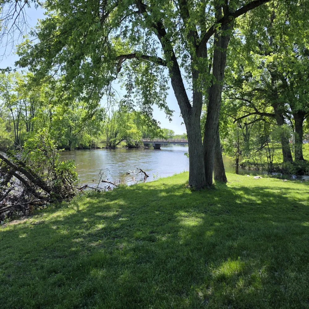 4796 90th Avenue Evart, MI 49631