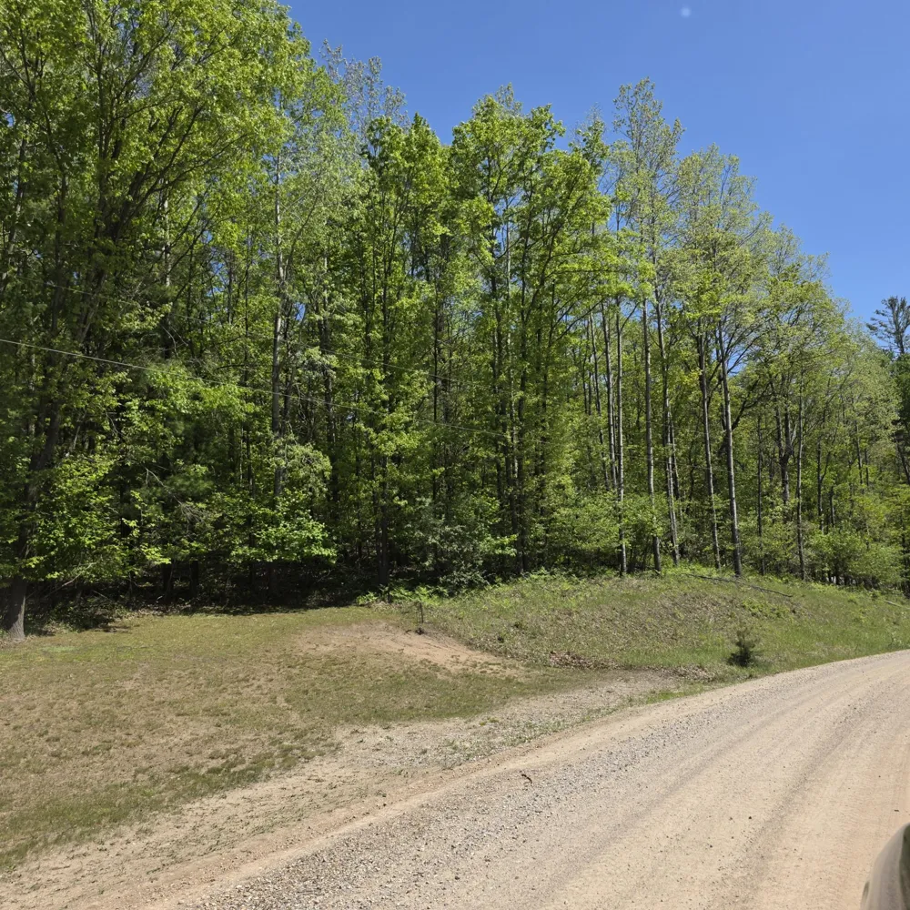 4796 90th Avenue Evart, MI 49631