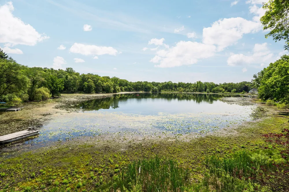 210 Spring Lake Drive Chelsea, MI 48118