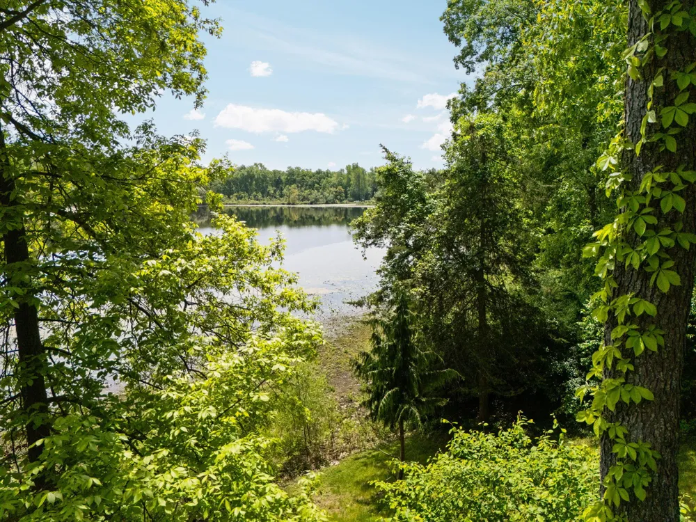 210 Spring Lake Drive Chelsea, MI 48118