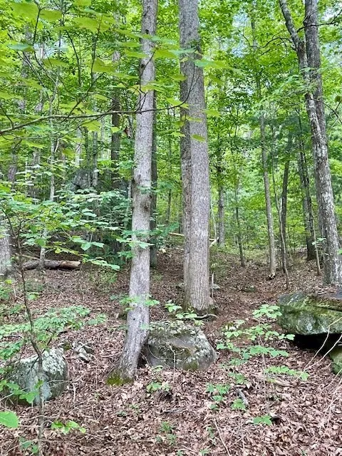 11 Lonesome Pine Road Murphy, NC 28906