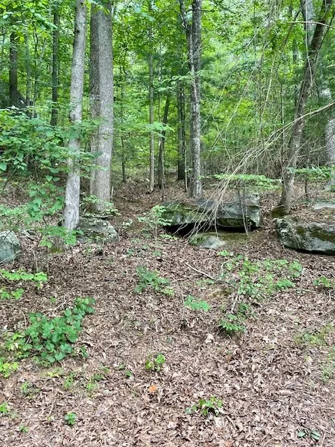 11 Lonesome Pine Road Murphy, NC 28906