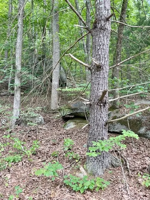 11 Lonesome Pine Road Murphy, NC 28906