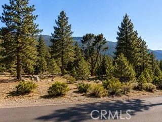 15120 acacia Pine Mountain Club, CA 93222