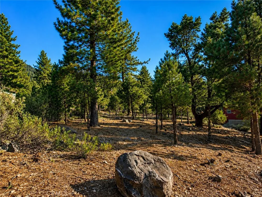 15120 acacia Pine Mountain Club, CA 93222