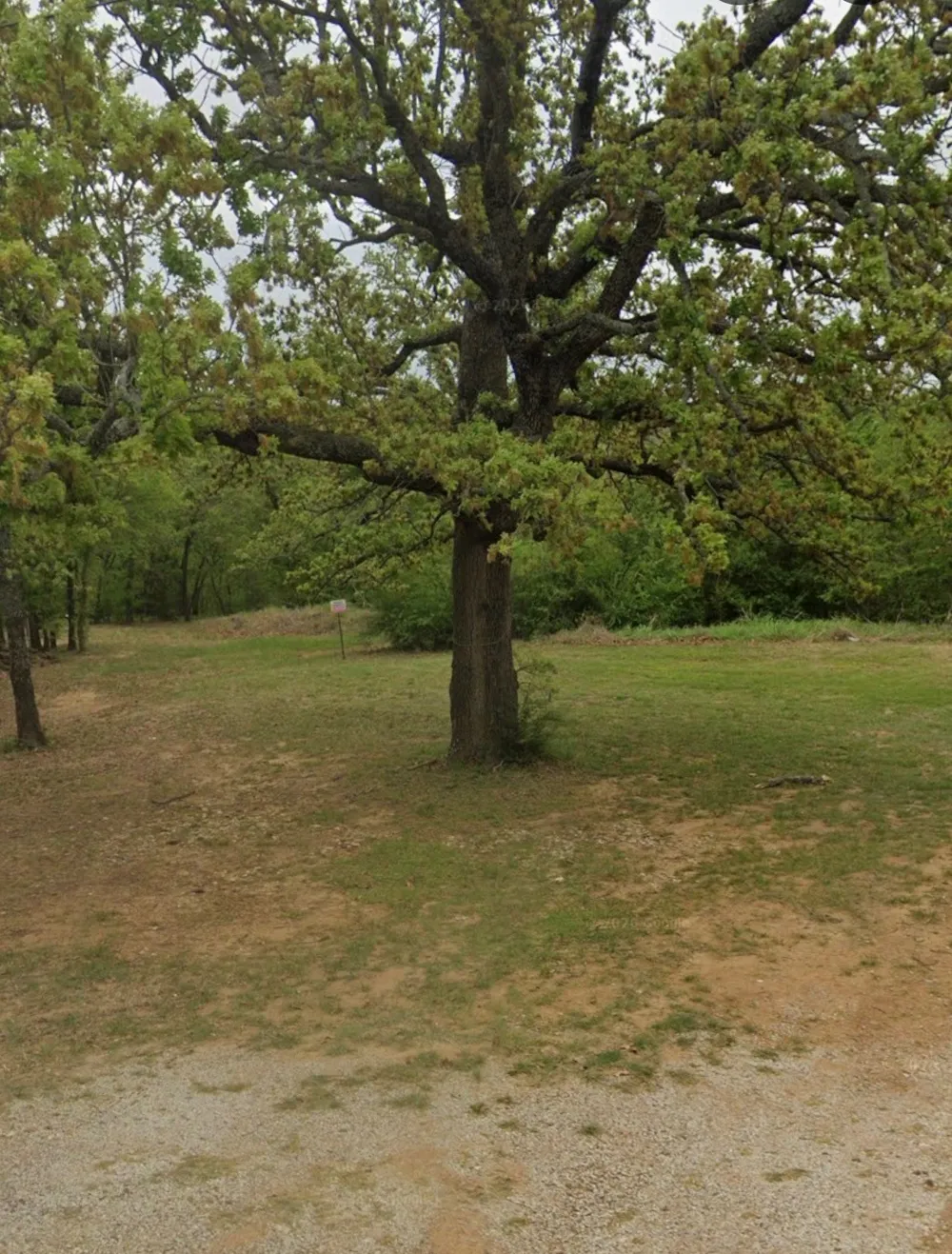 551 Horseshoe Trail Oak Point, TX 75068