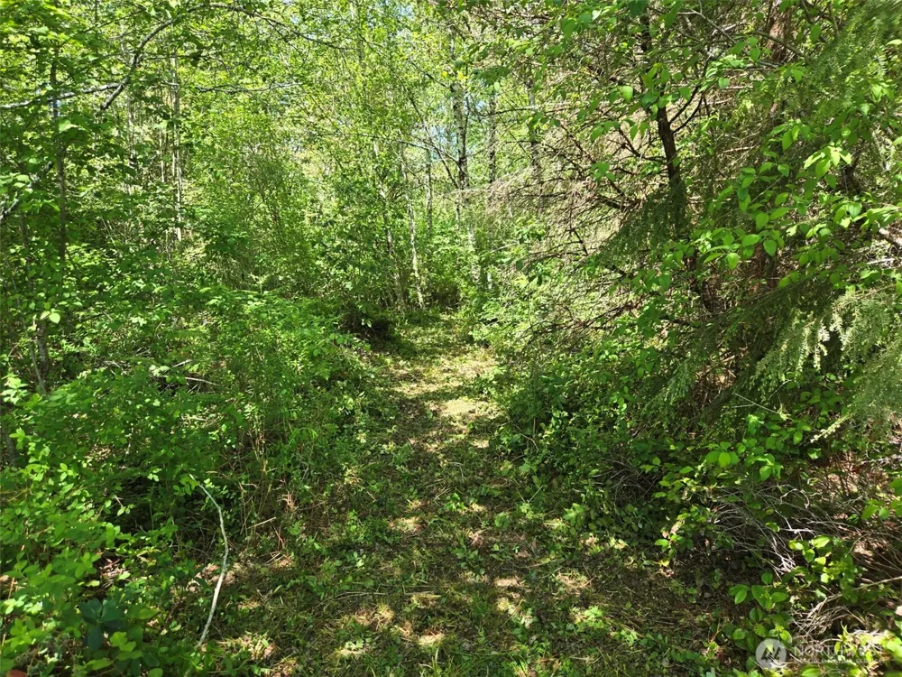 256 Walker Road Hoquiam, WA 98550