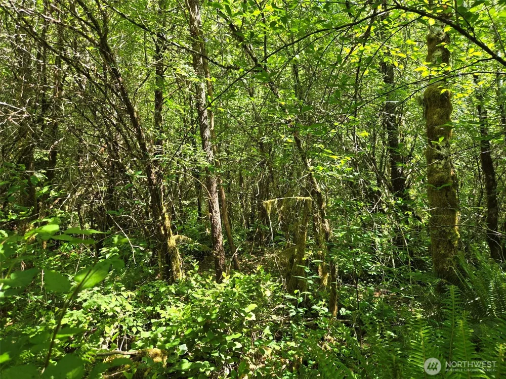 256 Walker Road Hoquiam, WA 98550