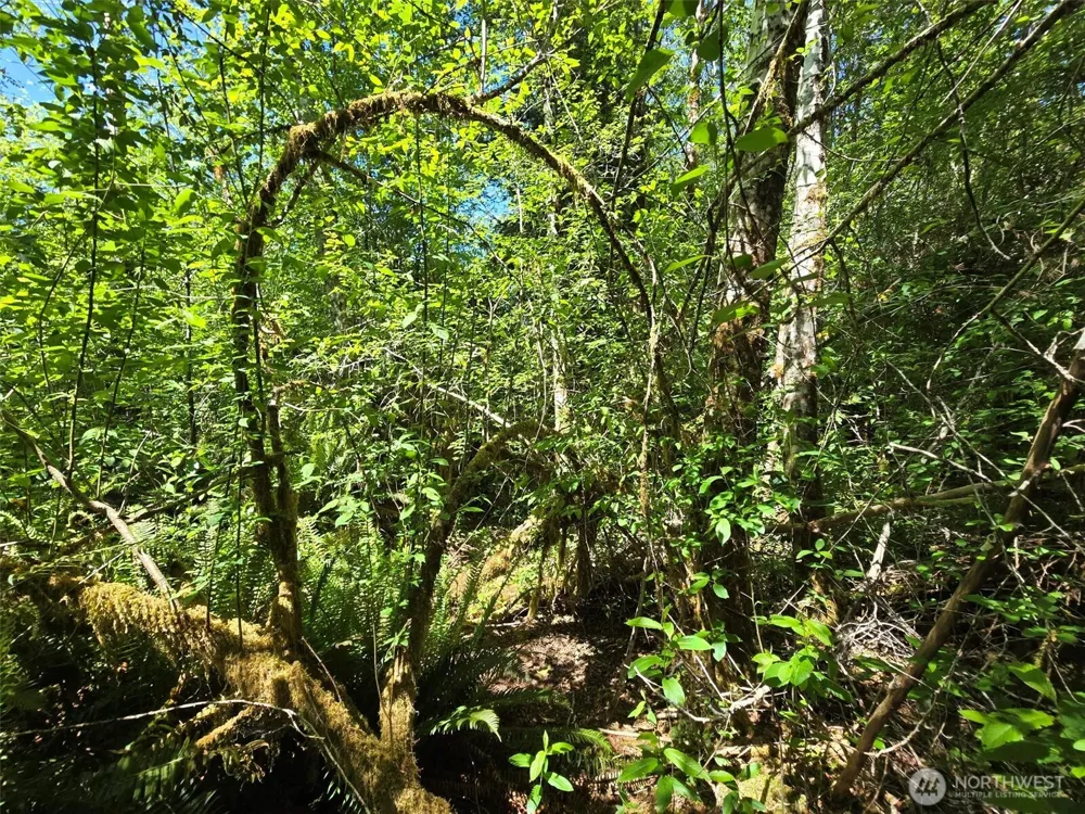 256 Walker Road Hoquiam, WA 98550
